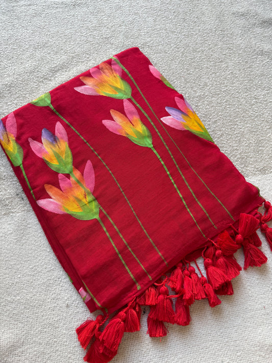 Red Handpained Saree