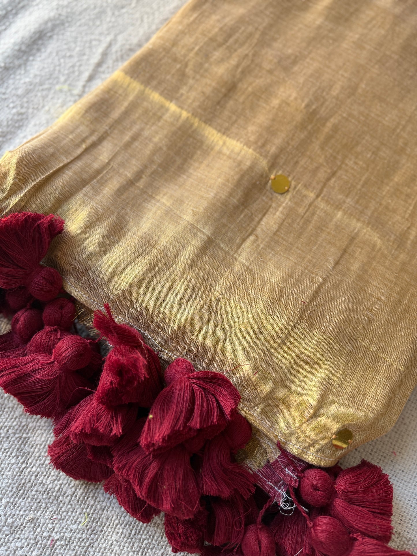 Raga Tissue Big Tussles Sequins Saree