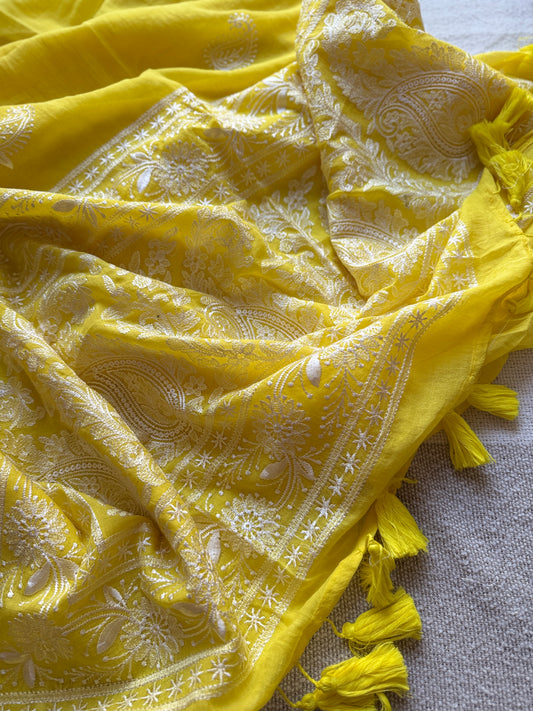 Nazaakat (Yellow ) 🌸